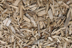 biomass boilers Alcaig