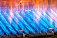 Alcaig gas fired boilers